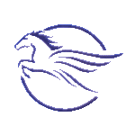 Universal Mobility Solutions